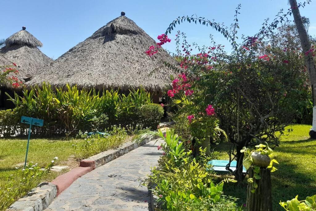Apartament Sol Y Mar. Delfines Ixtapa  Zewnętrze zdjęcie