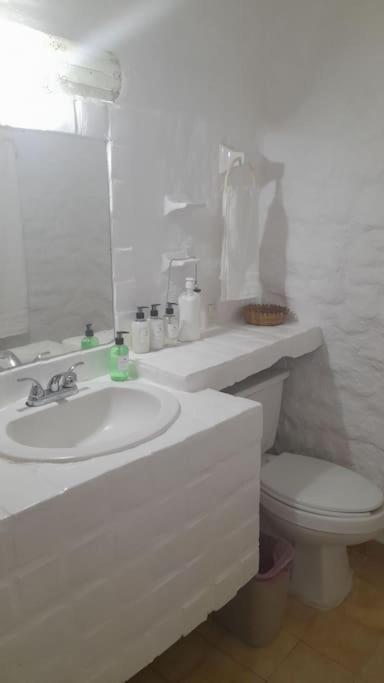 Apartament Sol Y Mar. Delfines Ixtapa  Zewnętrze zdjęcie