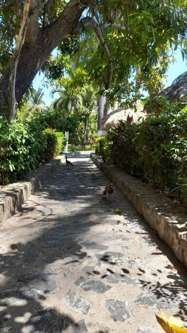 Apartament Sol Y Mar. Delfines Ixtapa  Zewnętrze zdjęcie