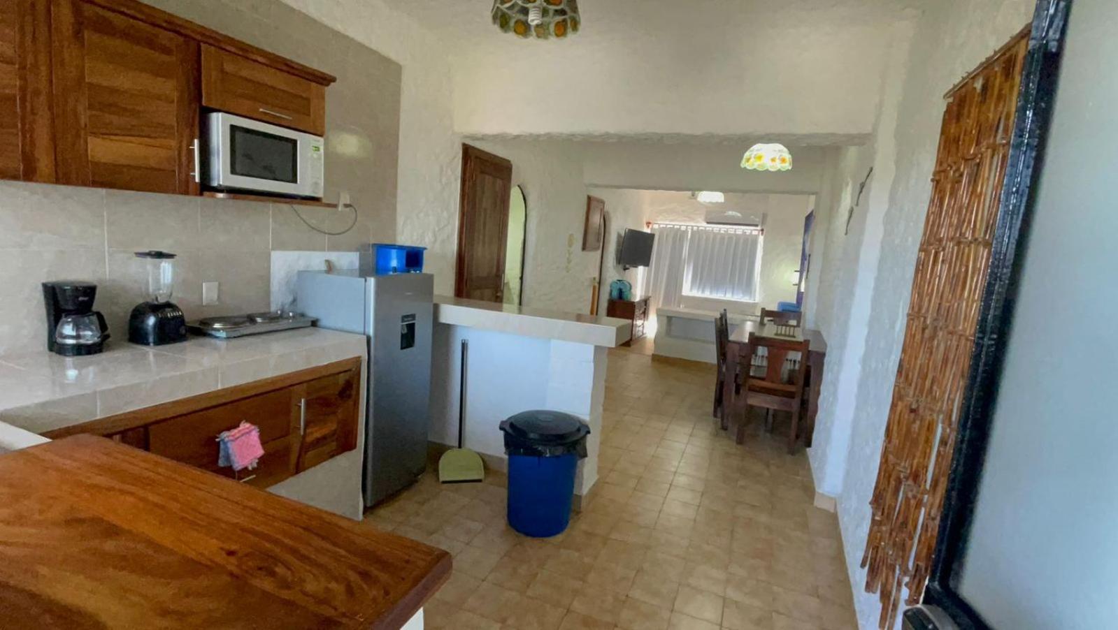 Apartament Sol Y Mar. Delfines Ixtapa  Zewnętrze zdjęcie